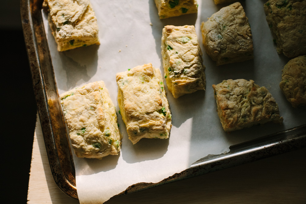 jarlsberg jalapeno biscuits / go eat your bread with joy