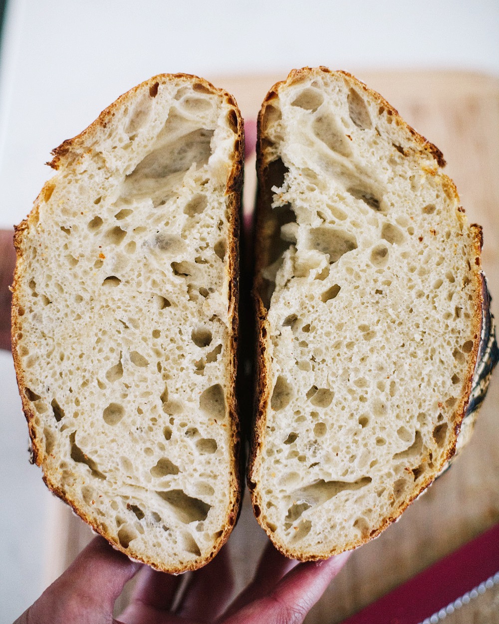 crumb of my first sourdough