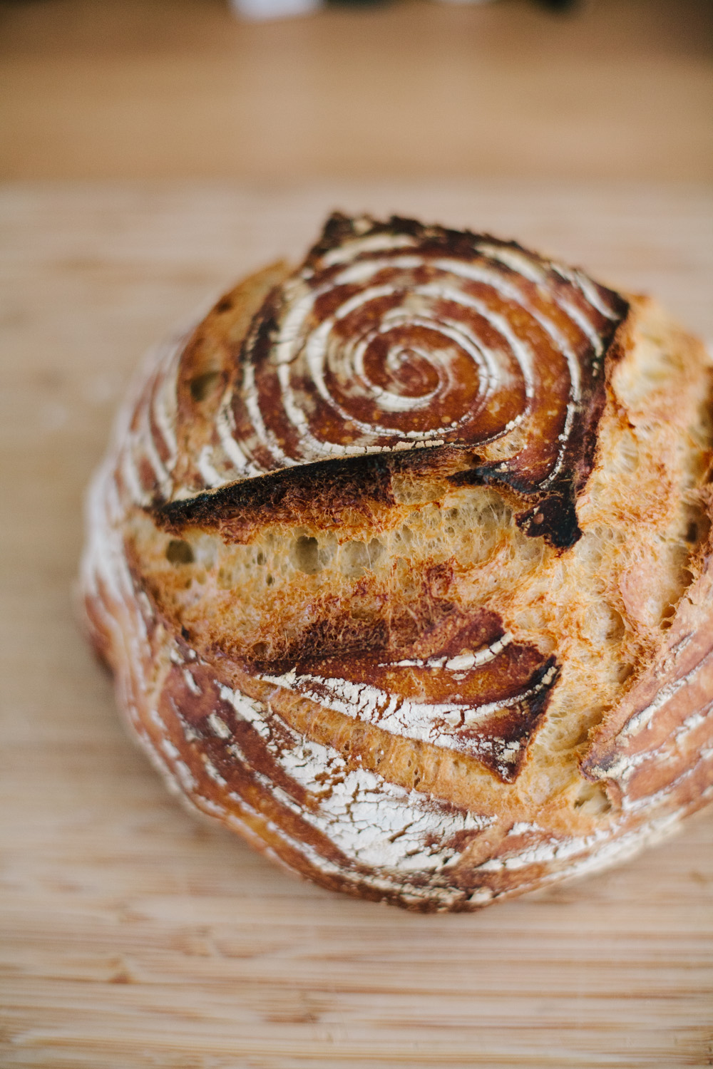 sourdough beginner