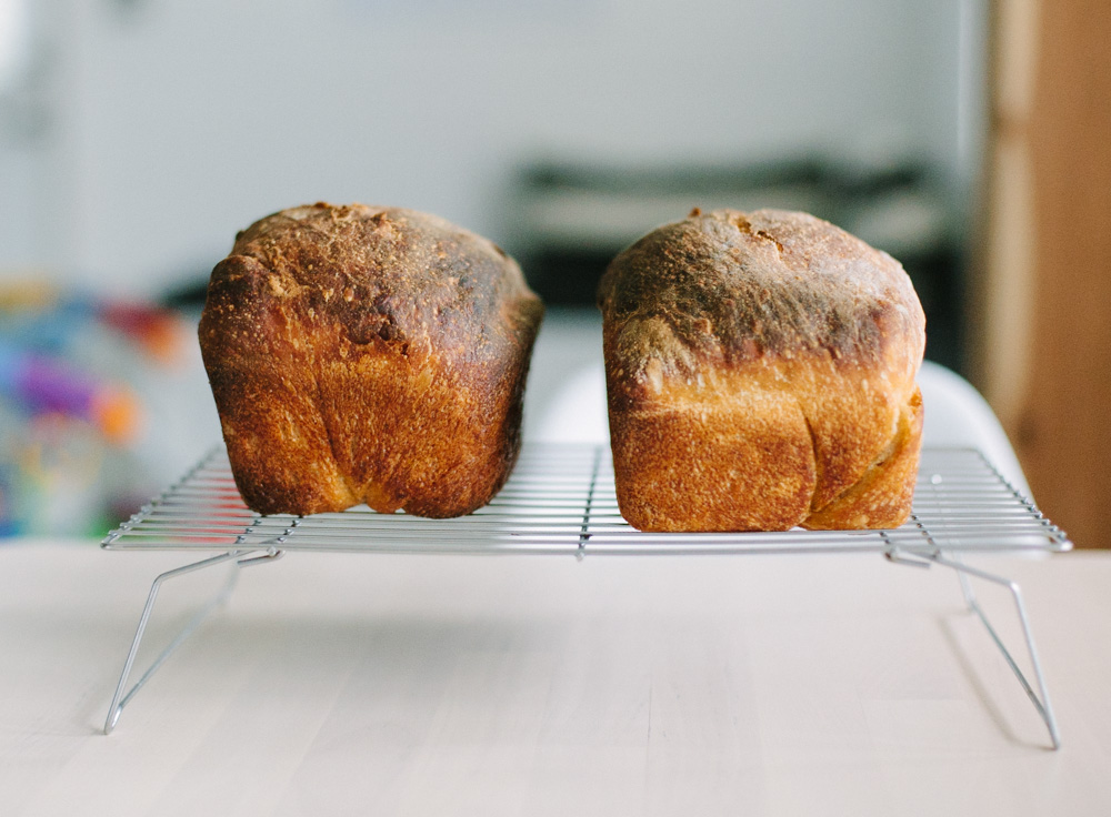 Mini loaf online bags