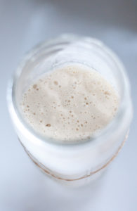 Sourdough Starter: Where to Get One, What Kinds Are Out There | Go Eat ...