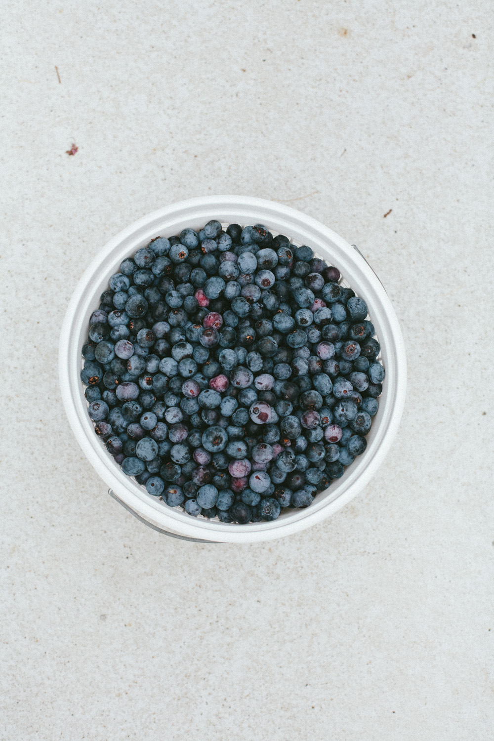 easy blueberry recipes to try