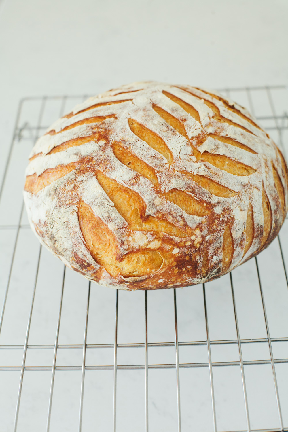 Birds Wings Scoring from Artisan Sourdough Made Simple