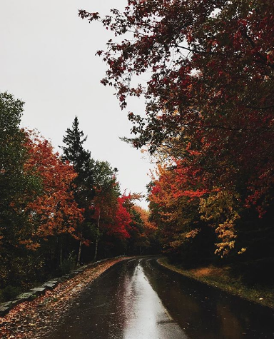 Maine in October