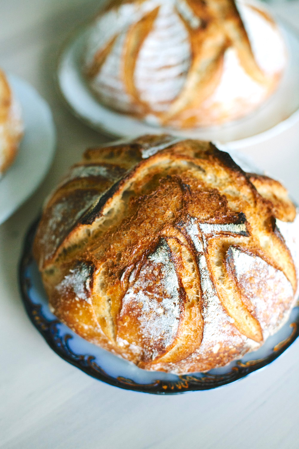 What 4 Experienced Sourdough Bakers Would Tell You / A Q + A at Go Eat Your Bread with Joy