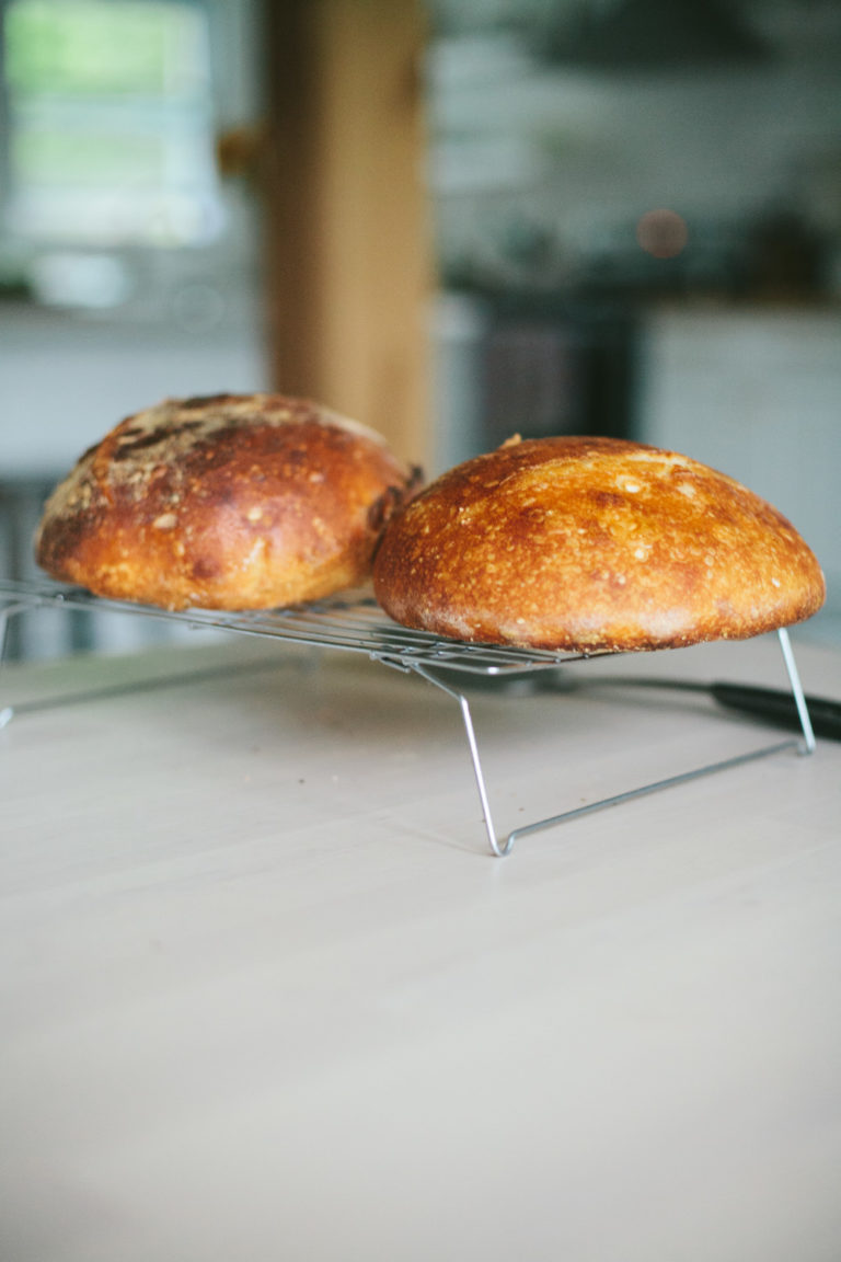 Feeding a Sourdough Starter Grapes an Experiment Go Eat Your Bread With Joy